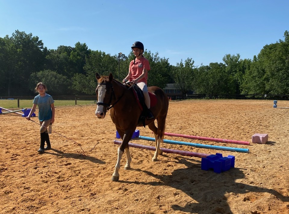 Horse in a riding arena