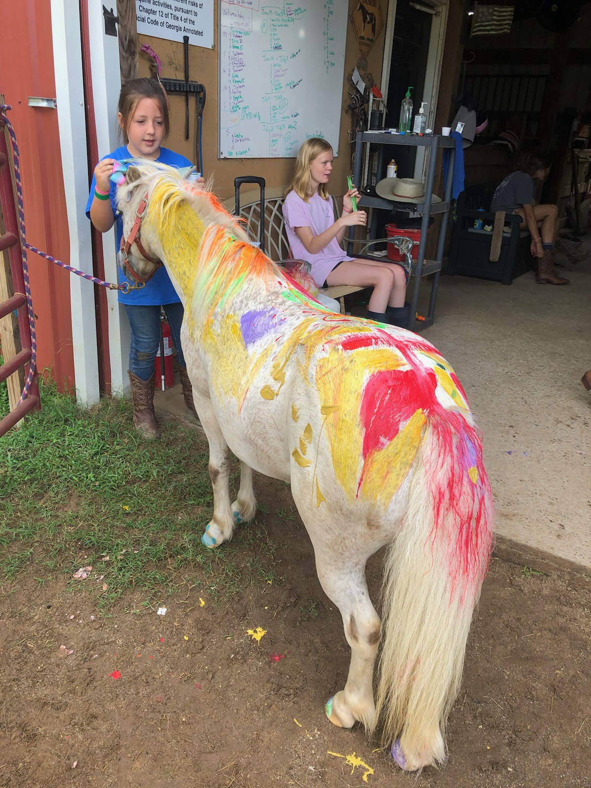 Horse with paint on back