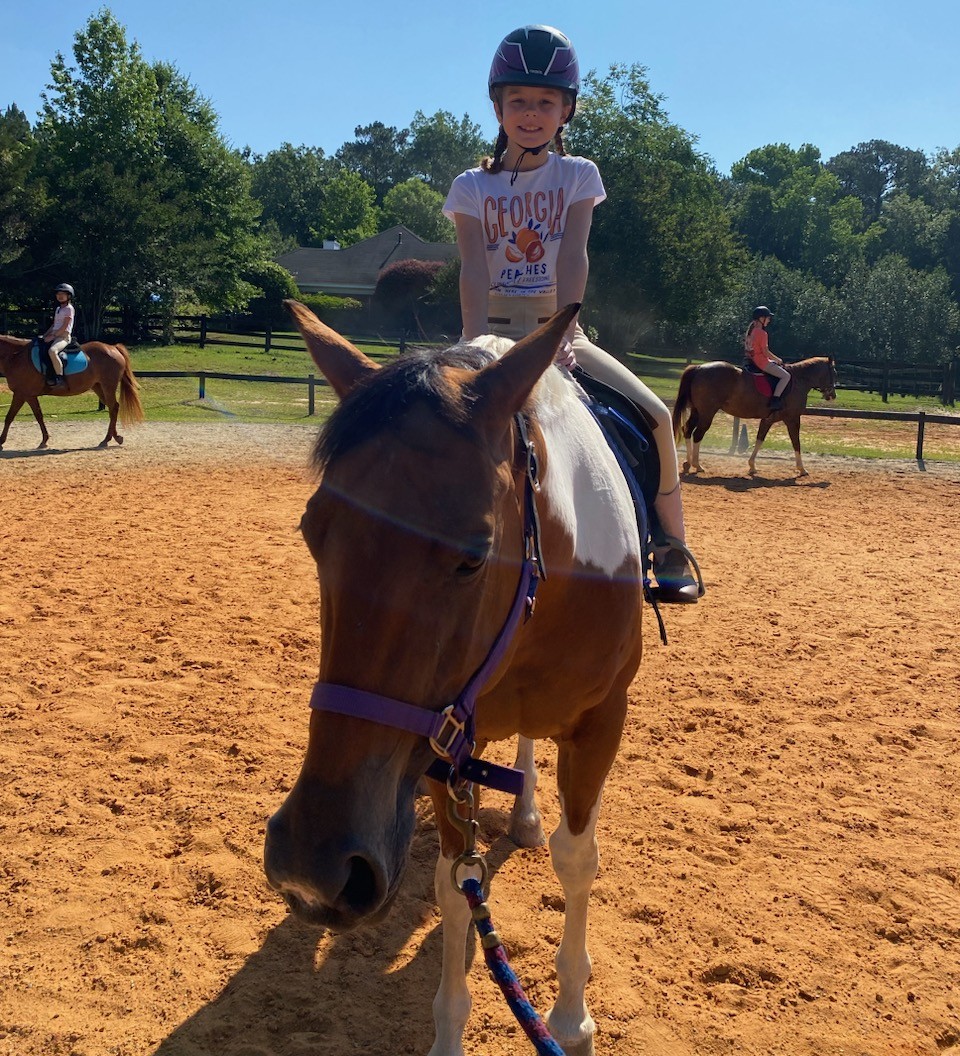 Three horses in a riding arena